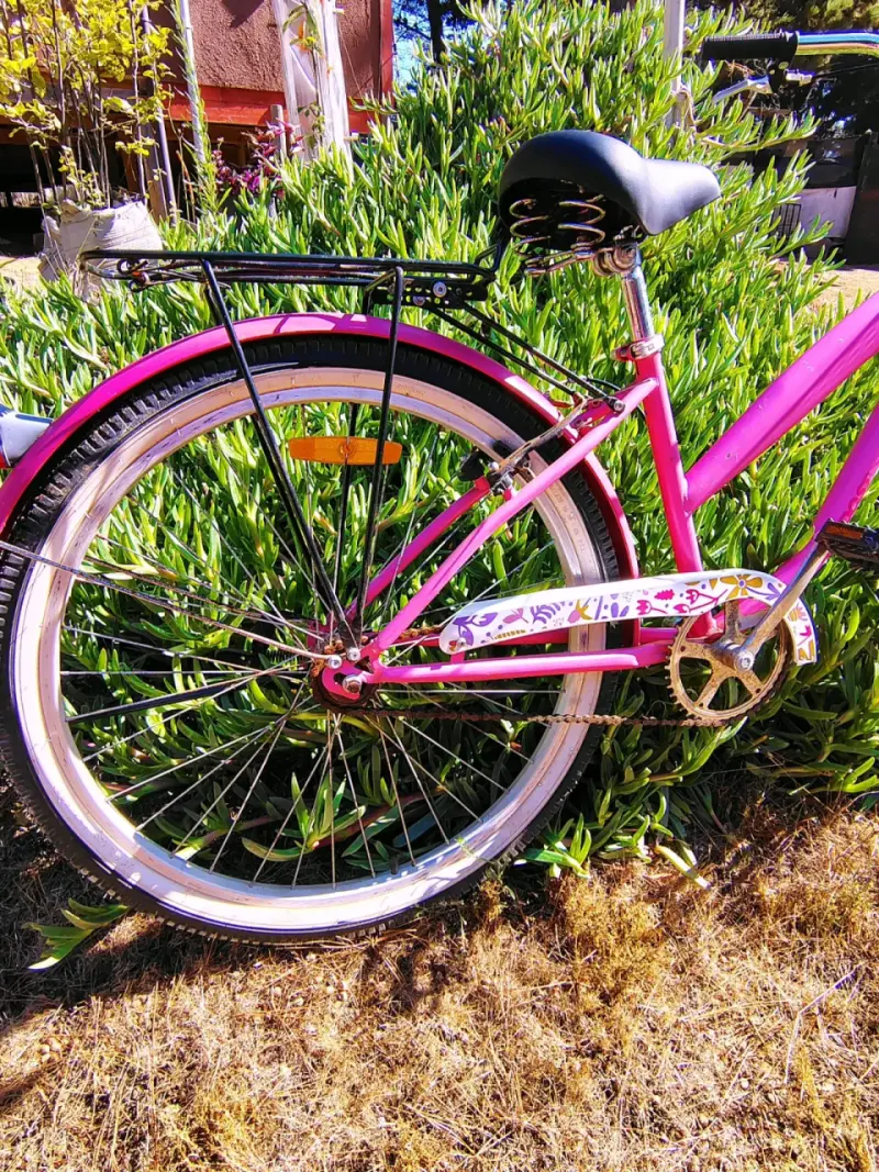 🩷BICICLETA PASEO🩷 - 3