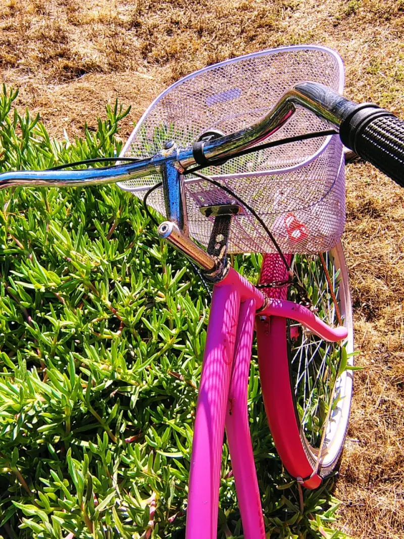 🩷BICICLETA PASEO🩷 - 5