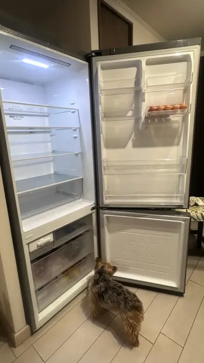 Refrigerador inverter LG botton frezar - miniatura 6