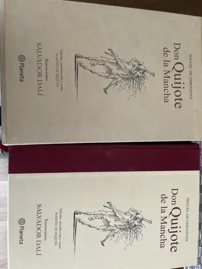 Don Quijote de la Mancha - miniatura 4