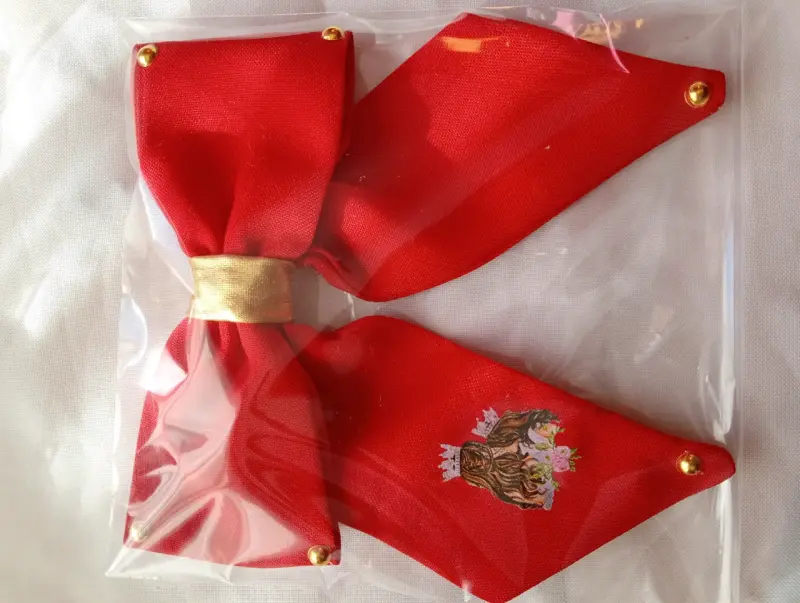 Moñitos