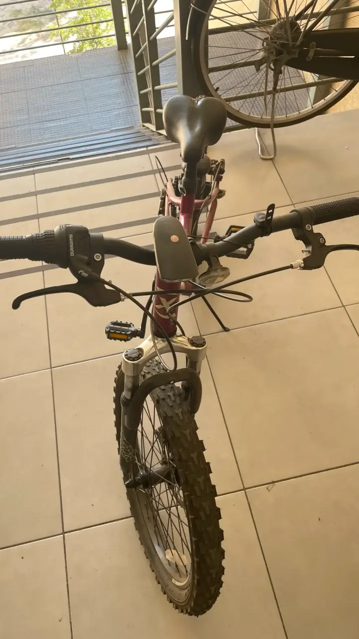 Bicicleta Oxford luna aro 20 - 3