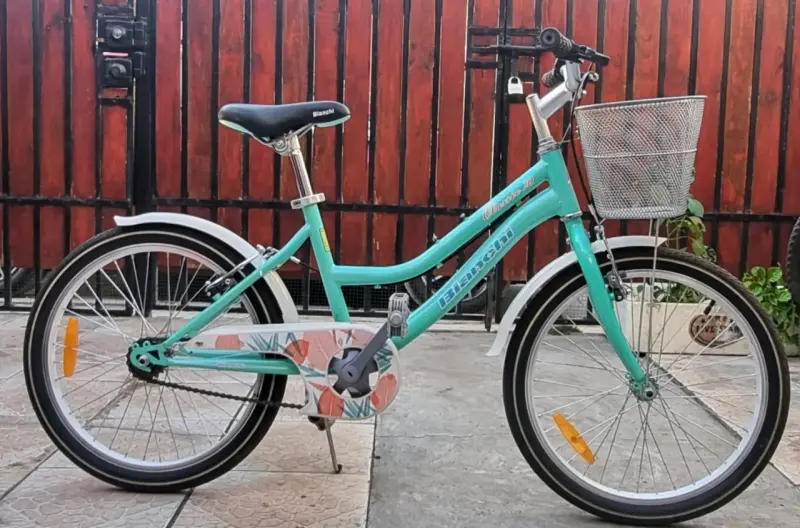 Bicicleta aro 20 color verde en perfecto estado - 2
