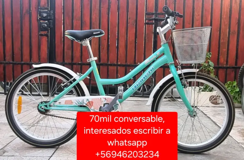 Bicicleta aro 20 color verde en perfecto estado - 4