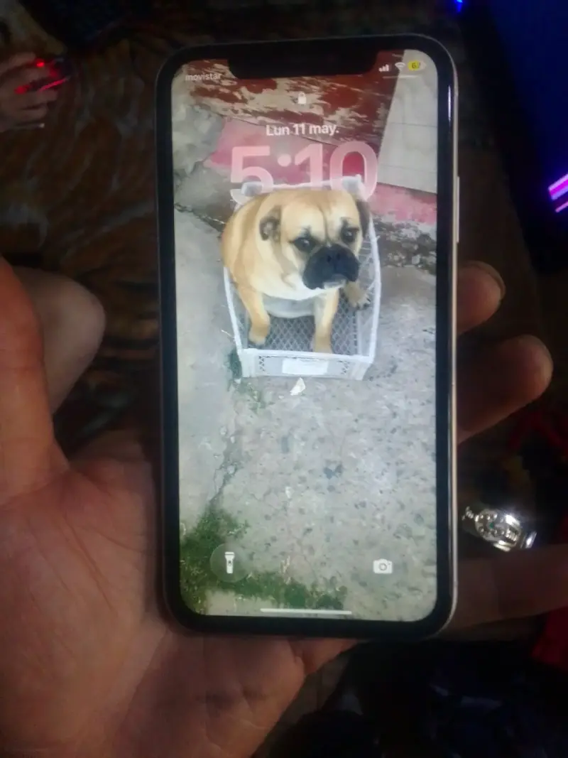 iPhone 11 en buen estado - 3