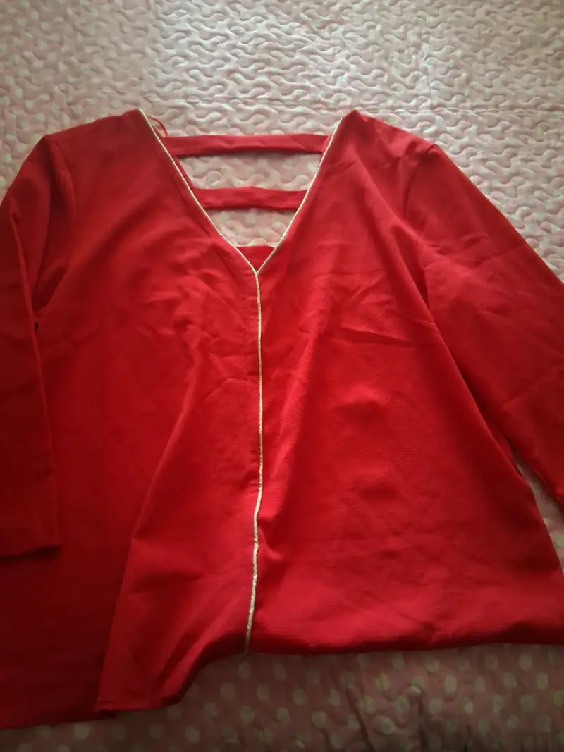 Blusa