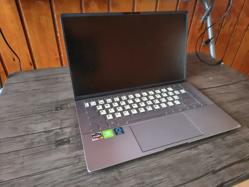 Asus ZenBook 14 Q407IQ | Ryzen 5 | MX350 - 1