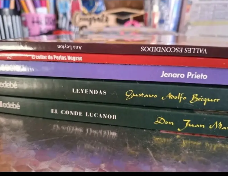 Pack 5 libros escolares ✨️ - 6