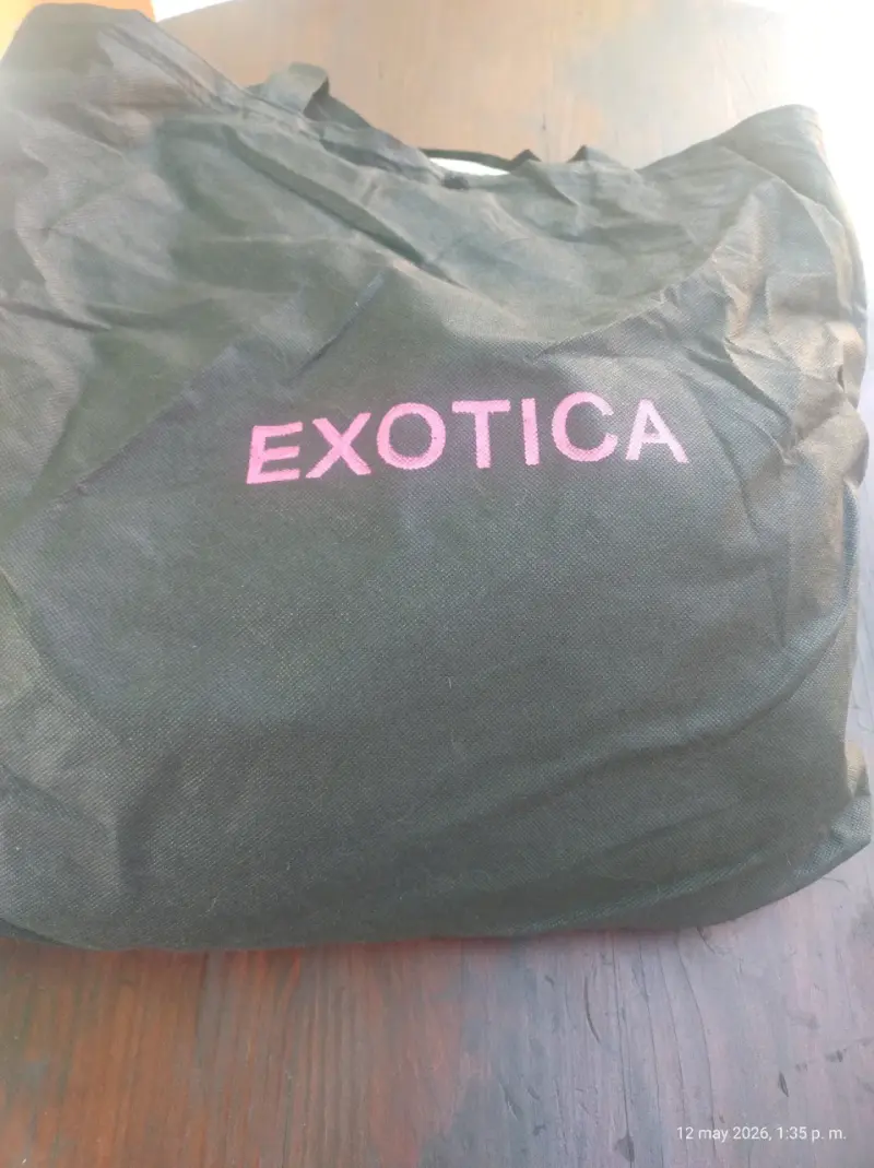 Cartera dorada marca Exótica - 3