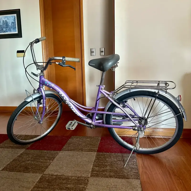Bicicleta Oxford - 1