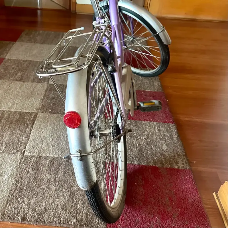 Bicicleta Oxford - 2