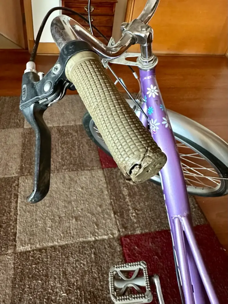 Bicicleta Oxford - 4