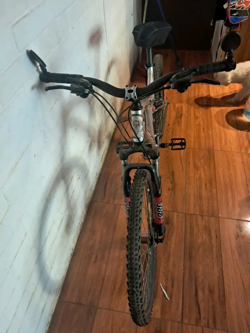 Bicicleta oxford - 3