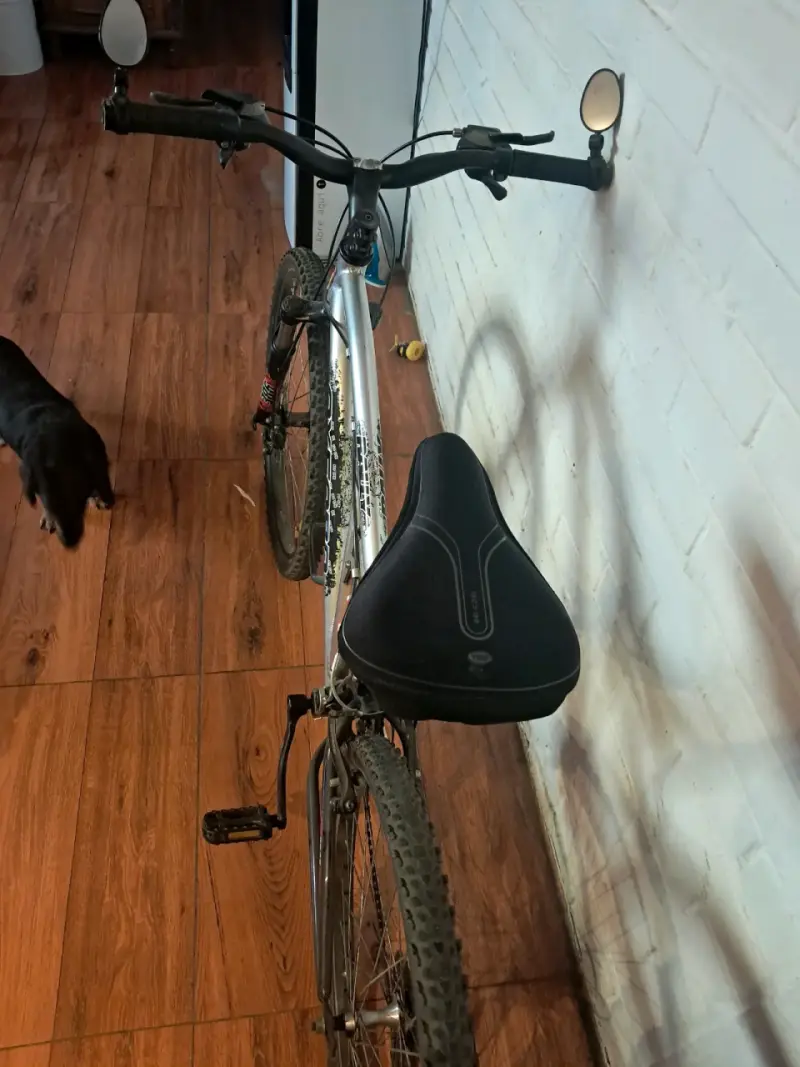 Bicicleta oxford - 4