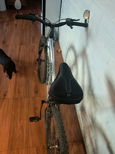 Bicicleta oxford - miniatura 4