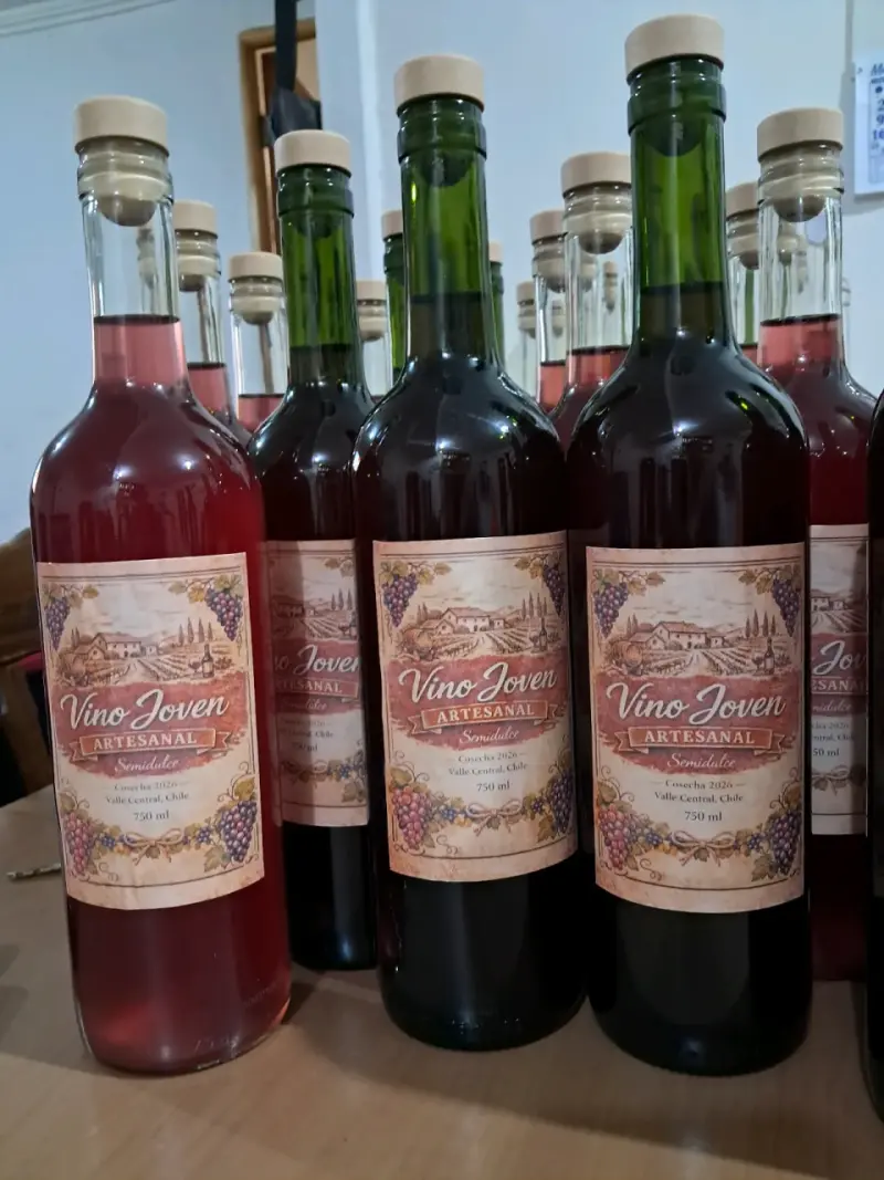 Vino Joven artesanal - 1
