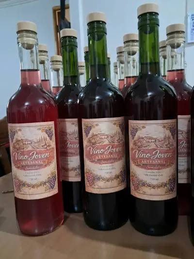 Vino Joven artesanal - miniatura 1