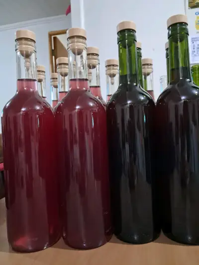 Vino Joven artesanal - miniatura 2