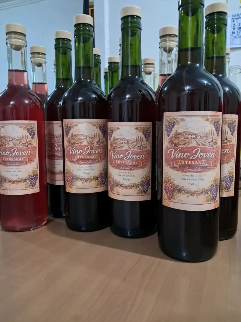 Vino Joven artesanal - 3