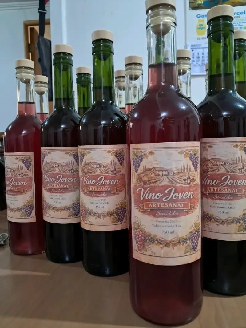 Vino Joven artesanal - 5