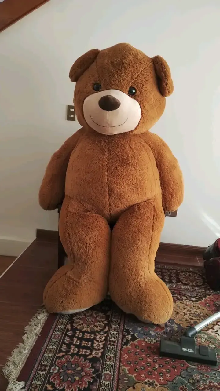 Oso de peluche - 1