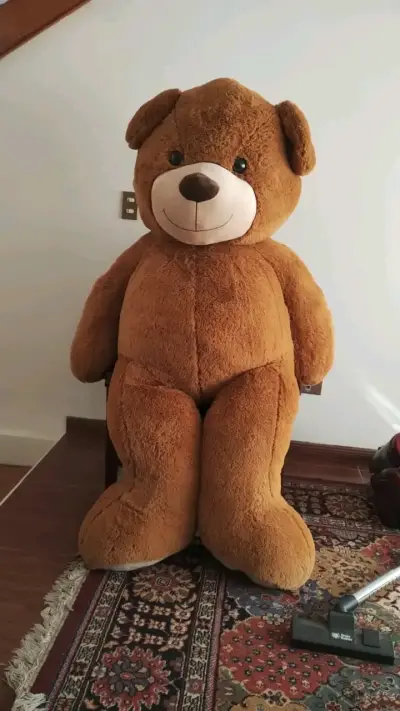 Oso de peluche - miniatura 1