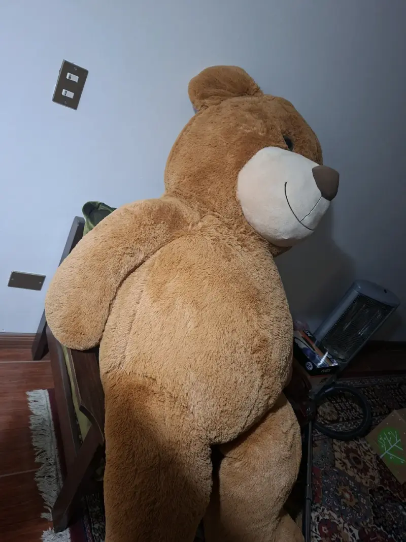 Oso de peluche - 2