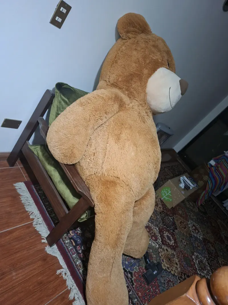 Oso de peluche - 3