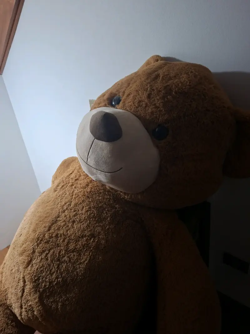 Oso de peluche - 4