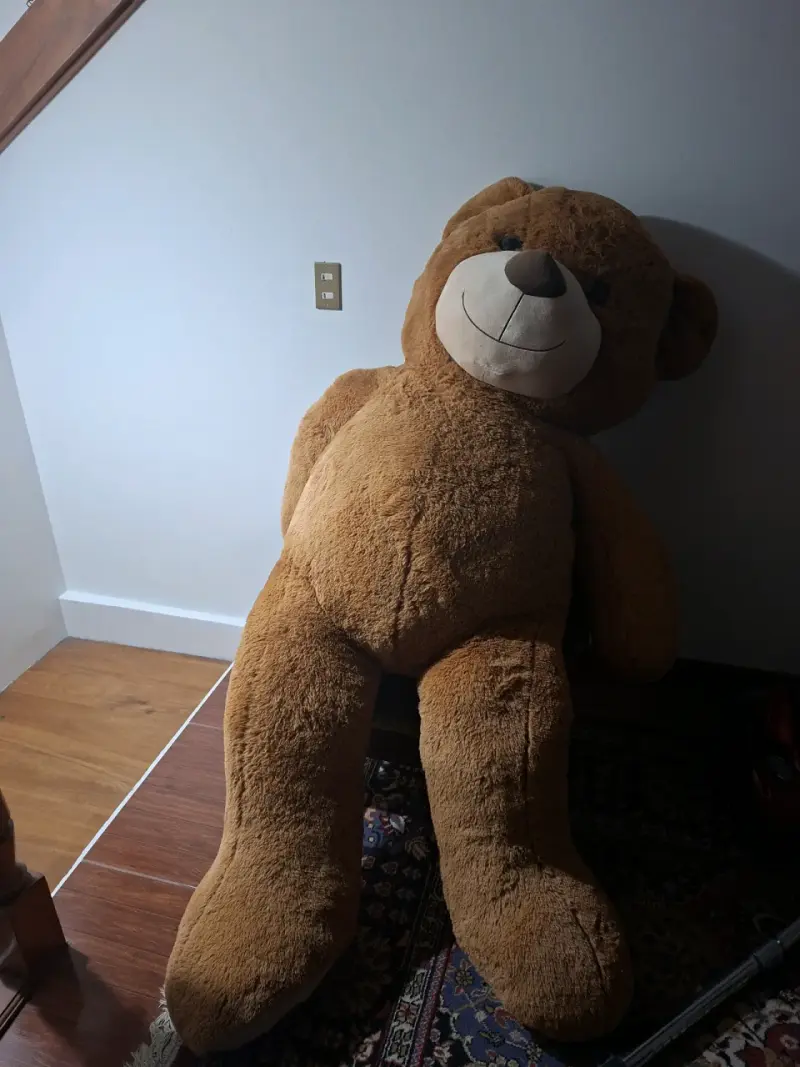 Oso de peluche - 5