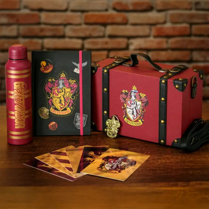 Set de Harry potter - 2