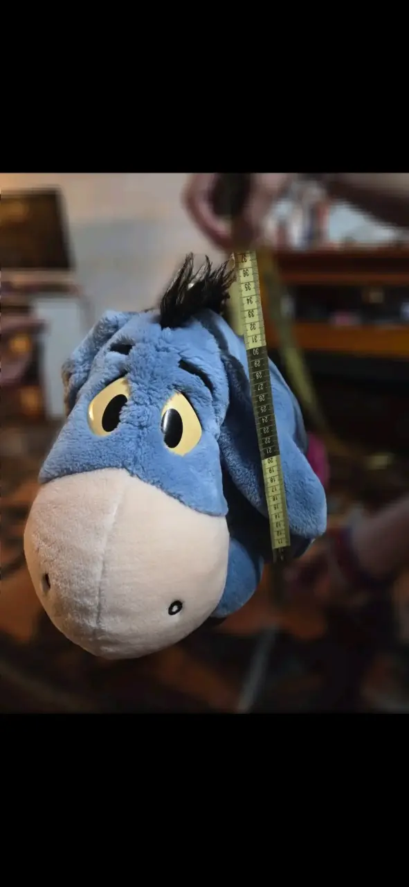 Igor-winnie the Pooh - 2