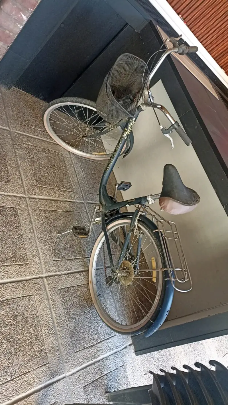 Bicicleta - 1