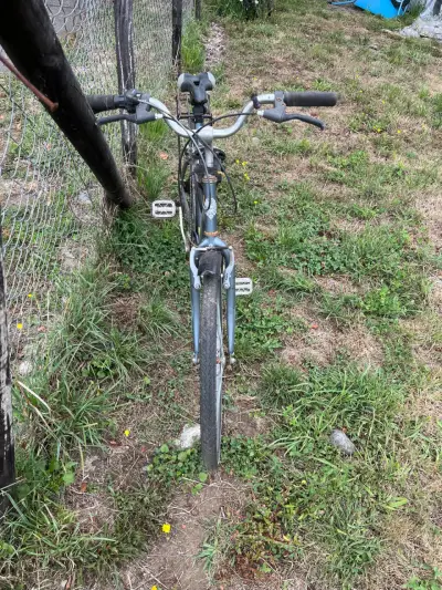 Bianchi Aro 26 - miniatura 1