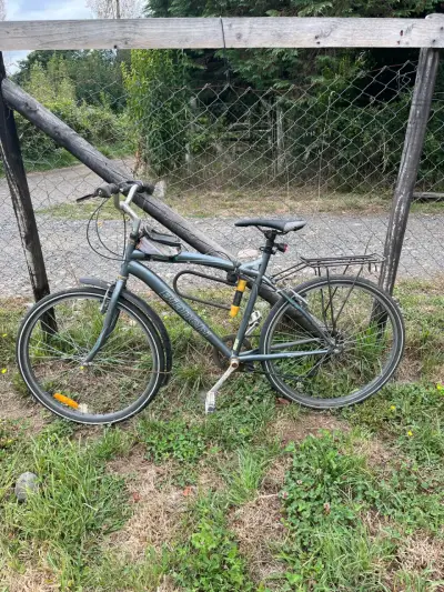 Bianchi Aro 26 - miniatura 3