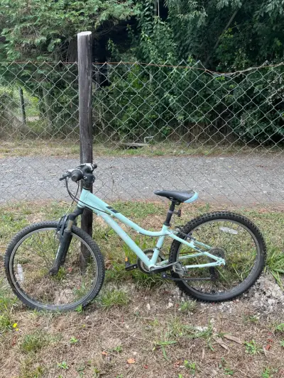 Bicicleta Trek Aro 21 - miniatura 1