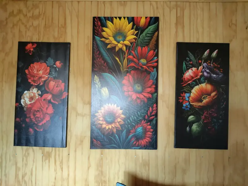 Se vende 3 cuadros por $20.000 - 1
