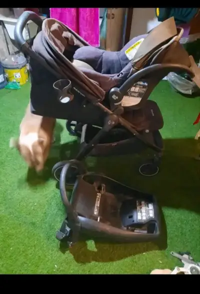 Coche maxi cosi - miniatura 2