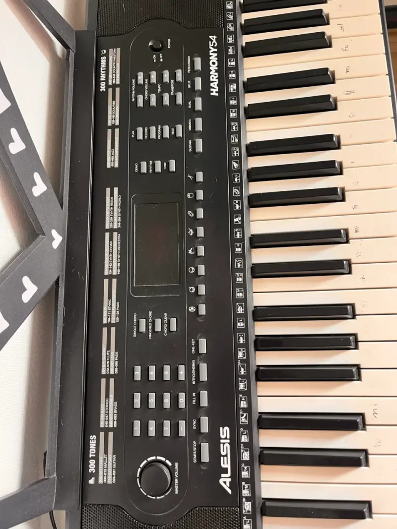 Teclado harmony 56 - 2