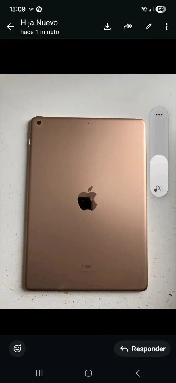 Ipad 10.2" 32 gb 8ª generación - 5