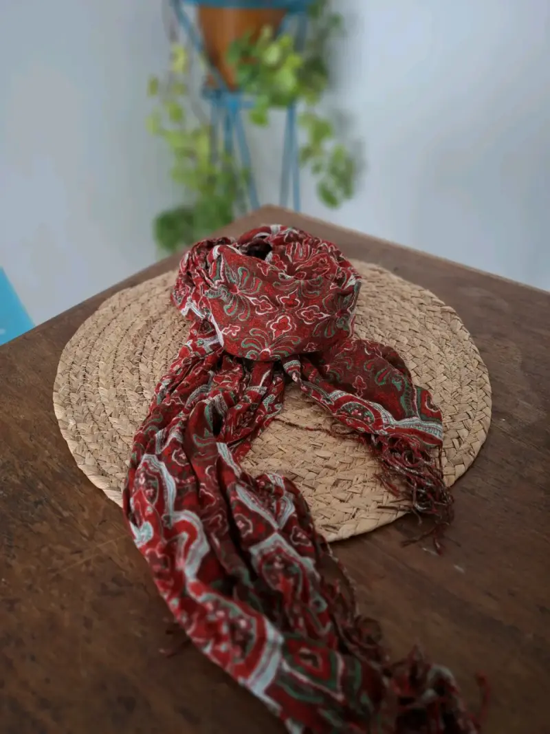 Pañuelo estampados y cintillos - 3