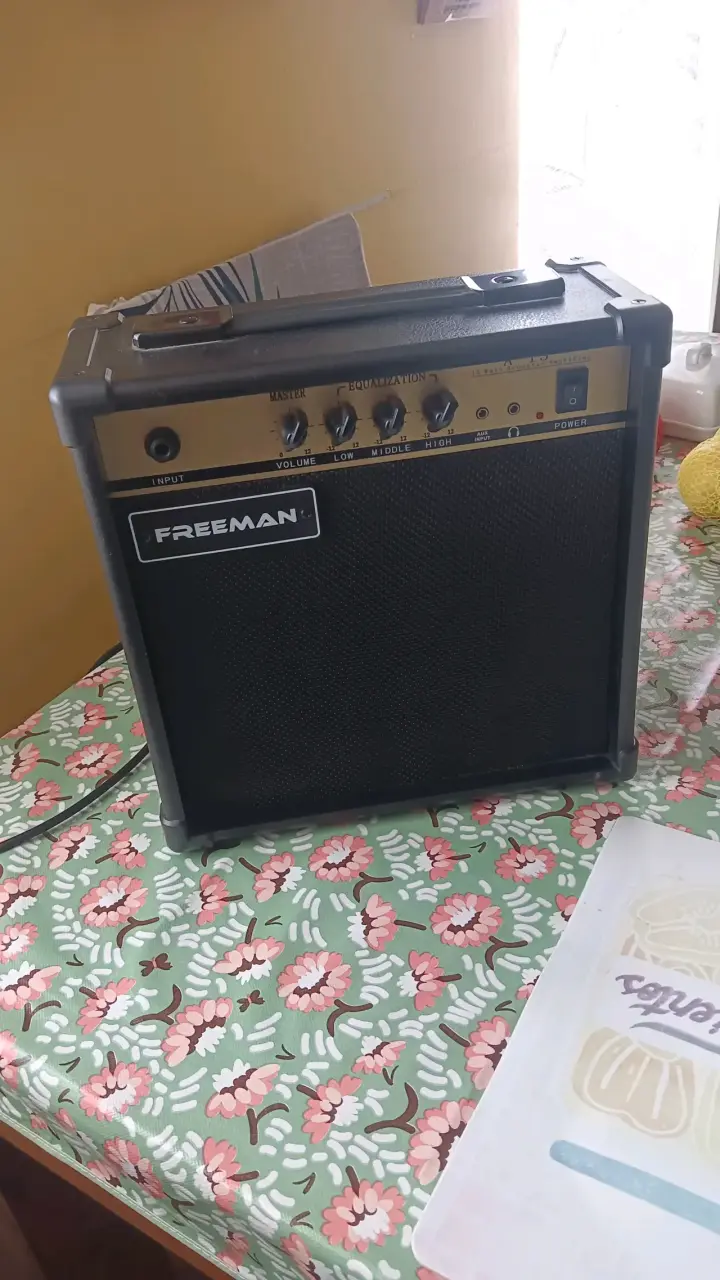 Amplificador Freeman A15 - 6