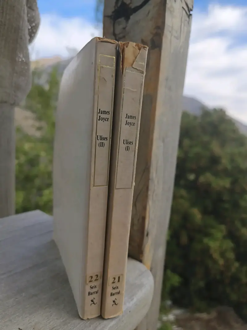 Ulises de James Joyce - 2