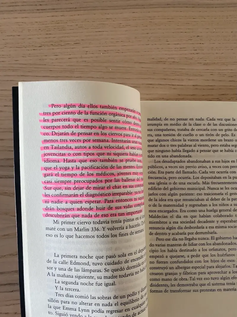Libro 'América Alucinada' de Betina González - 4