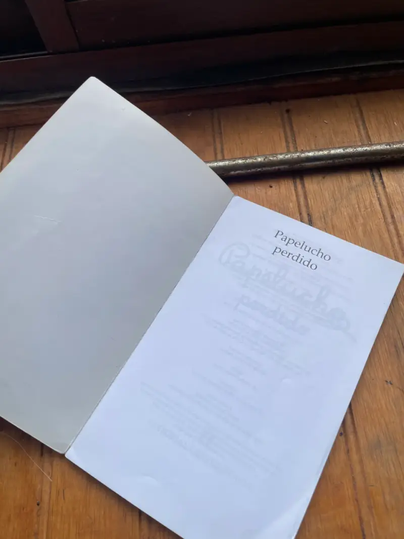 dos libros de papelucho a luka - 4