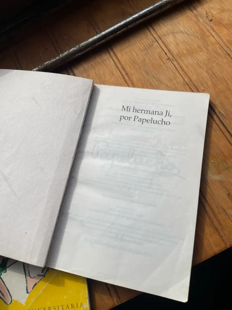 dos Libros Papelucho Marcela Paz x luka - 2