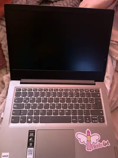 Notebook Lenovo AMD Plateado - miniatura 1
