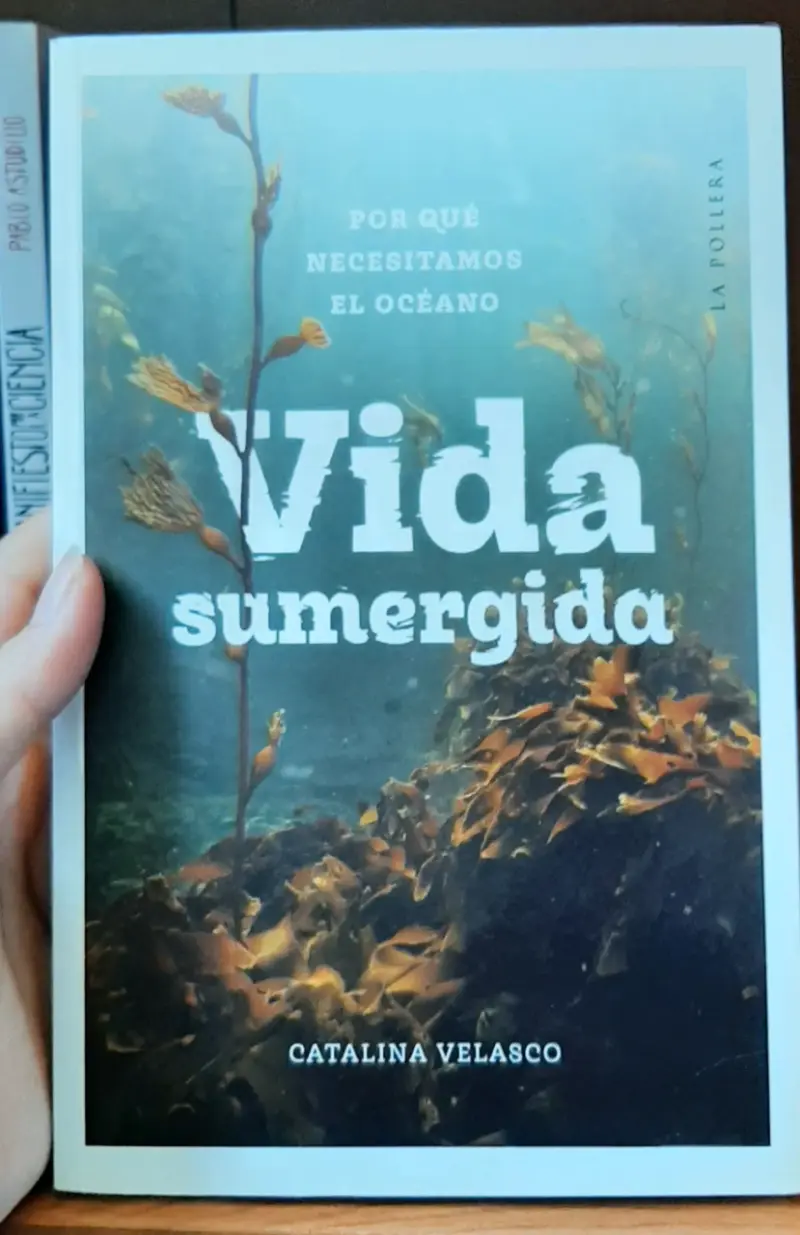 Libro Vida Sumergida - 1