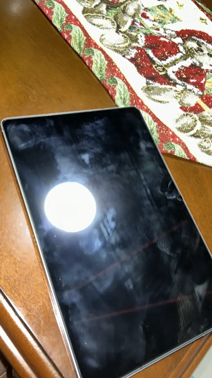 Tablet Samsung S9 FE con S Pen - 2