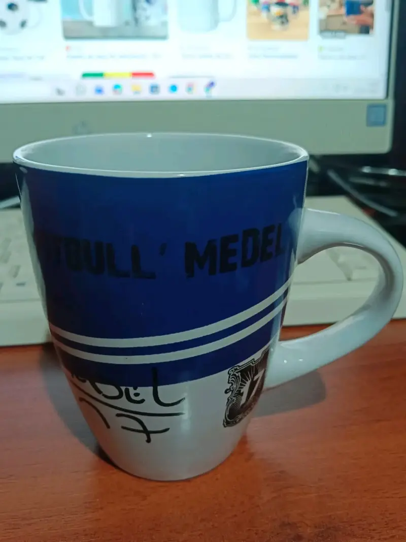 Tazón Gary Medel de coleccion idolos mundialeros - 2